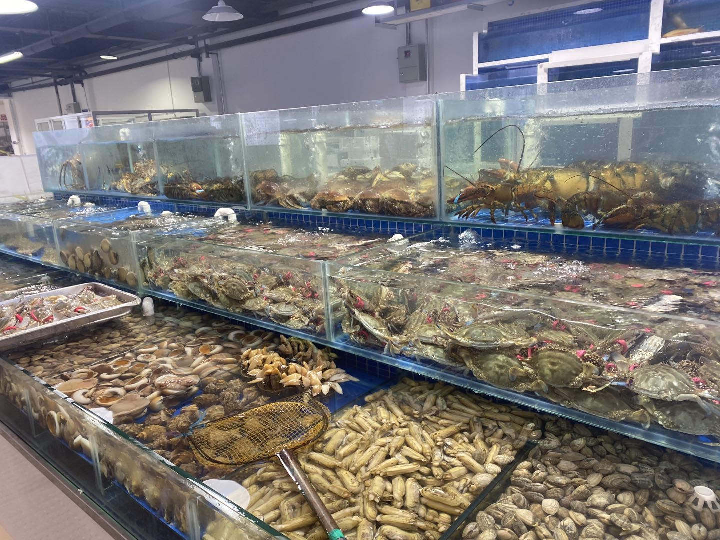 20210913/488538010dffe99211c2e1fb80c1323f.jpg 20210913/488538010dffe99211c2e1fb80c1323f.jpg